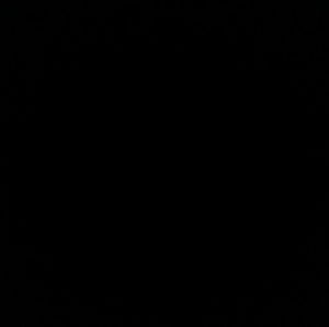 Meet your Posher, Tony